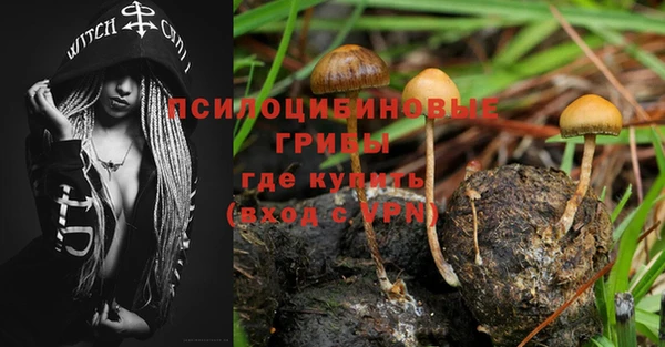 мяу мяу кристалл Корсаков