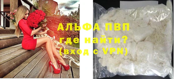 мяу мяу кристалл Корсаков