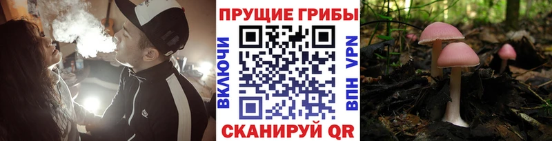 Псилоцибиновые грибы ЛСД  Купить  Горняк 